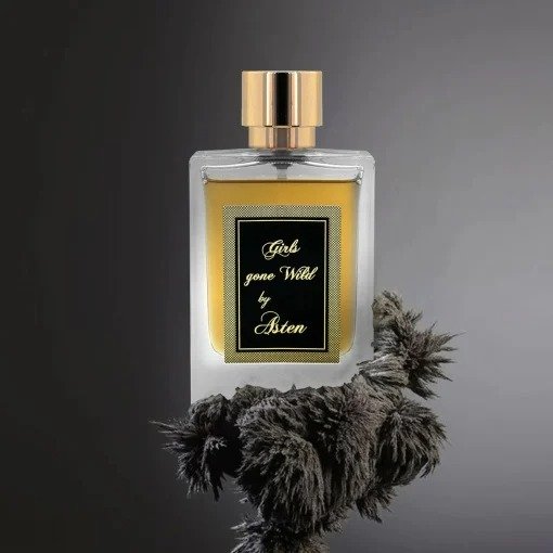Perfume Árabe Girls Gone Wild 100 ml - Asten
