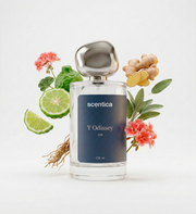 Y Odissey Perfume Scentica - inspirado en Y de YSL Men