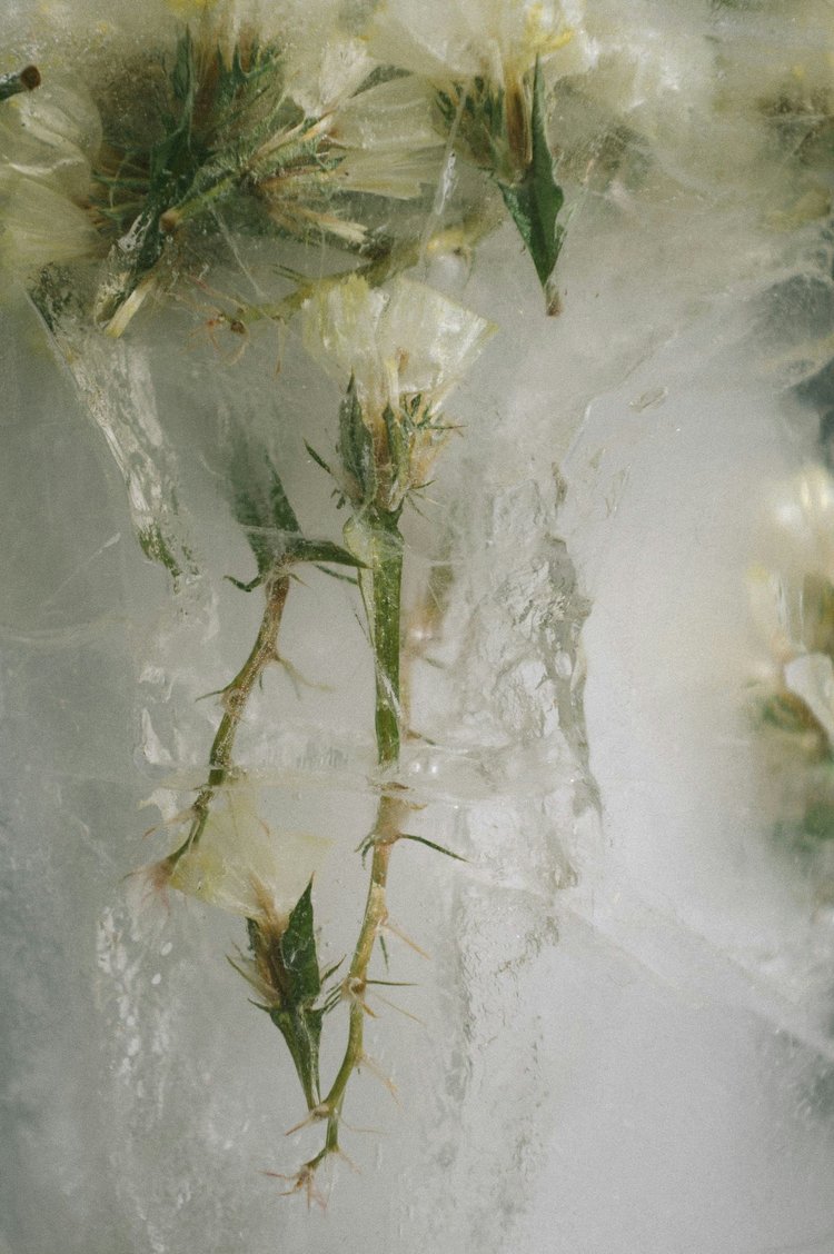 Sérum de Argirelina - Erthe