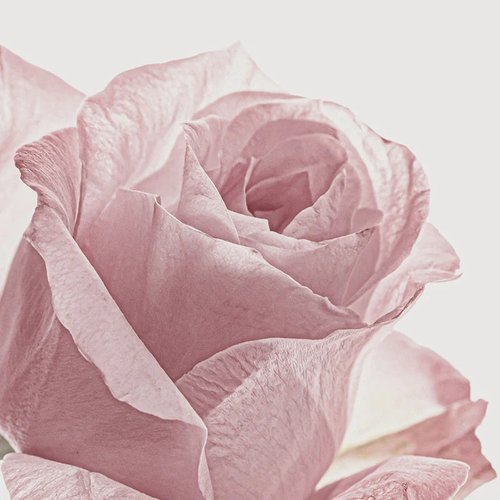 Bruma Capilar Pétalos de rosa 150 ml - Kundal