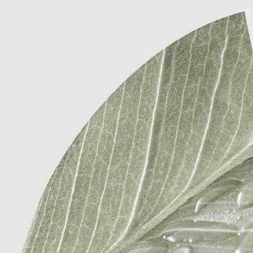 Bruma Capilar Verde Con Te Blanco 150 ml - Kundal