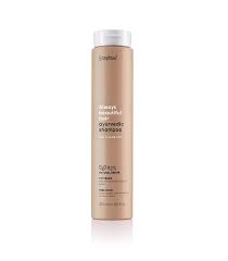 Shampoo ayurvedico Abh 250 ml - Erayba