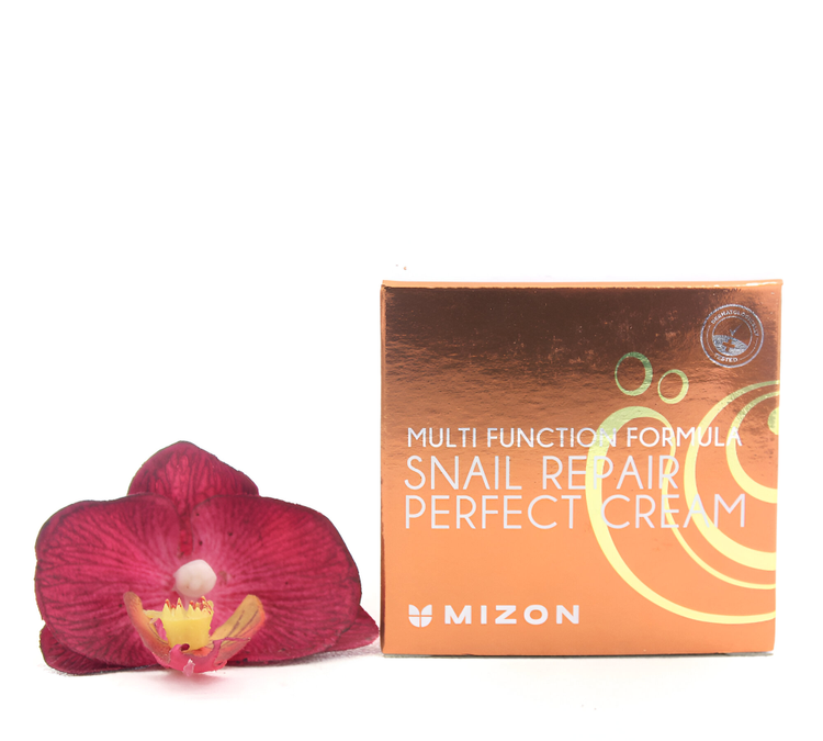 Crema Reparadora De Caracol 50 ml - Mizon